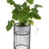 Clearance Pflanzenstander Wire Schwarz 57Cm Aufbewahrung & Ordnung