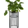 Sale Pflanzenstander Wire Schwarz 70Cm Aufbewahrung & Ordnung