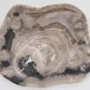 New Platte Kristalmeer Versteinertes Holz Geschirr & Tischaccessoires