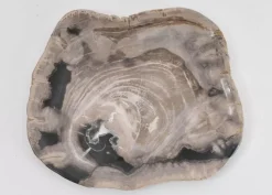 New Platte Kristalmeer Versteinertes Holz Geschirr & Tischaccessoires
