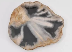 Online Platte Toverland Versteinertes Holz Geschirr & Tischaccessoires