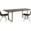 Online Tisch Harmony Dunkel Silber 200X100 Tische