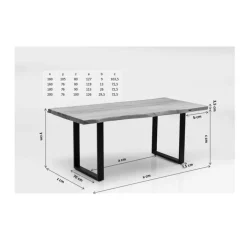 Online Tisch Harmony Dunkel Silber 200X100 Tische