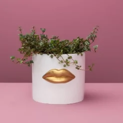 Discount Ubertopf Lips Weiss/Gold Aufbewahrung & Ordnung