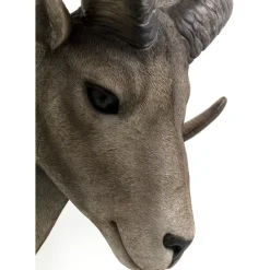 Discount Wandobjekt Goat Head Bilder