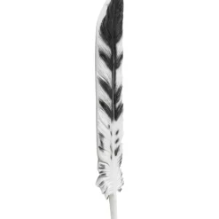 Online Wandobjekt Quill 77X18 Bilder