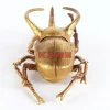 Wandschmuck Atlas Beetle Gold Bilder
