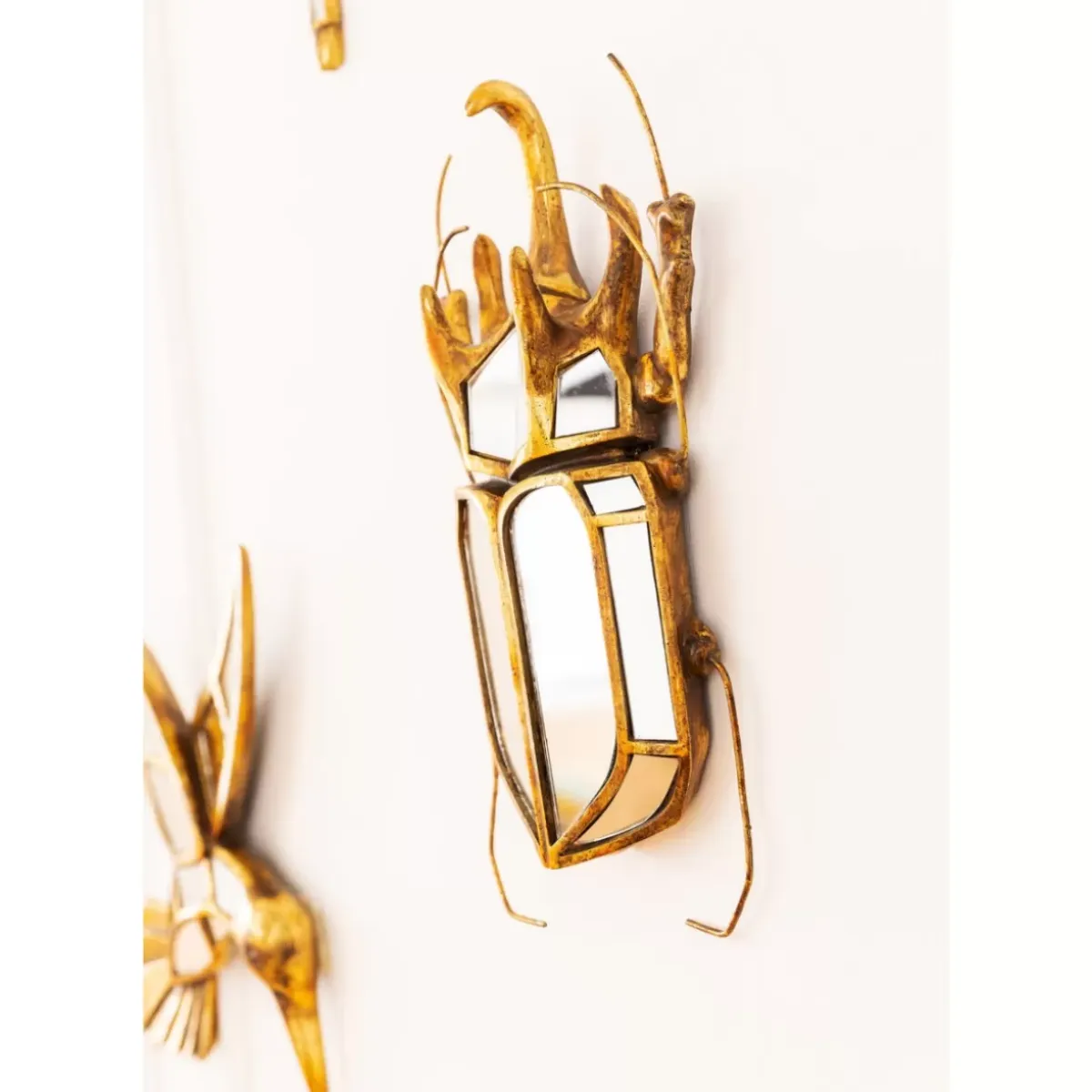 Outlet Wandschmuck Beetle Mirror Bilder