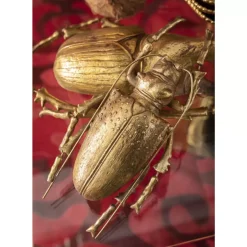 Wandschmuck Longicorn Beetle Gold Bilder