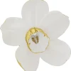 Sale Wandschmuck Orchid Weis 44 Bilder