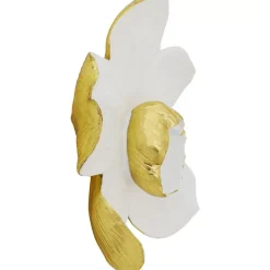 Sale Wandschmuck Orchid Weis 44 Bilder