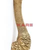 Hot Wandschmuck Ostrich Gold Bilder