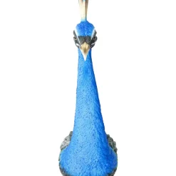 Wandschmuck Peacock Bilder